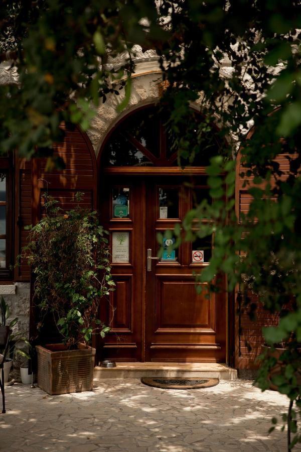 Hotel Carrubba Donja Lastva Εξωτερικό φωτογραφία