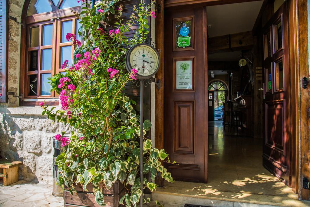 Hotel Carrubba Donja Lastva Εξωτερικό φωτογραφία